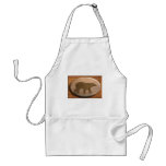 SPACE BEAR IV aprons