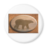 SPACE BEAR IV magnets