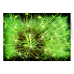 Space plant greeting card