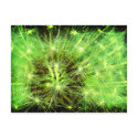 Space plant - Dandelion close up Lomo postcards