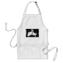 SPACE SHUTTLE APRONS