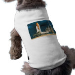 Space Shuttle Columbia pet clothing