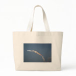 Space Shuttle Discovery Launch bags