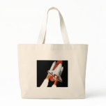 space shuttle - final flight bags