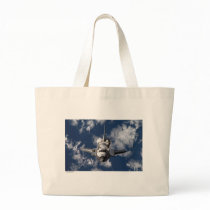 Space Shuttle in Orbiting Earth Bag