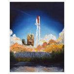 Space Shuttle Launch flyers