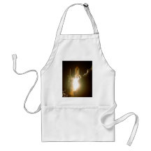 SPACE SHUTTLE LIFT-OFF APRONS