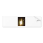 SPACE SHUTTLE LIFT-OFF bumper stickers
