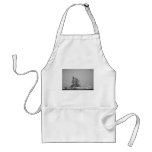 Space Shuttle on Launch Pad in Black and White aprons