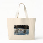 Space station bags