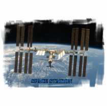 Space station sculpture acrylic cut outs