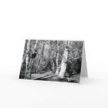 Spacious Park Trees cards