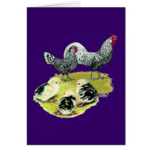 Spangled Hamburg Family Greeting Card