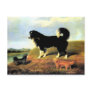 Spaniel and Two Norfolk Terriers Postcard