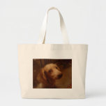 Spaniel Guards Your Bag!