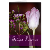Spanish Easter Card