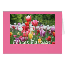 Spanish Easter Tulips Card