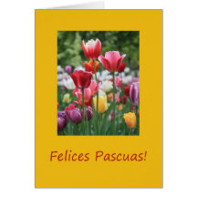 Spanish Easter Tulips Card