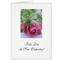 Spanish: Happy Valentine's Day Greeting Cards