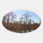 Spanish Moss Reflections Oval Stickers