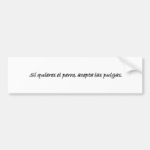 Spanish Quotes Bumper Stickers