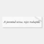Spanish Quotes Bumper Stickers