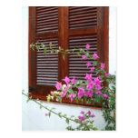 Spanish Siesta Postcards