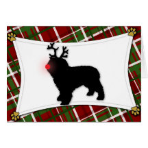 Spanish Water Dog Reindeer Christmas Card