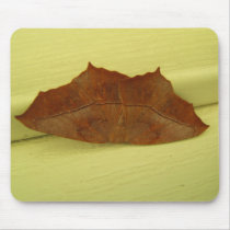 Spanworm Moth 226 ~ mousepad