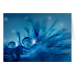 Sparkle drops cards