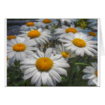 Sparkles Greeting Cards