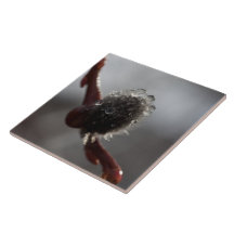 Sparkling Beads of Water Ceramic Tiles