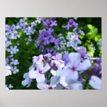 Sparkling Pink Fields Collection. Print