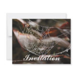 Sparkling Spider Net invitations
