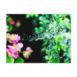 Sparkling Spider Web Postcard