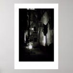 Sparks in Venice Print