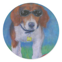 Sparky Dog Cool Dog
