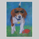 Sparky Dog Cool Dog postcards