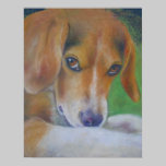 Sparky Dog:  Eyes posters