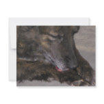 Sparky invitations