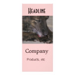 Sparky - Rack Card rack cards