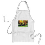 Sparring buffalo aprons
