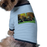 Sparring buffalo pet clothing