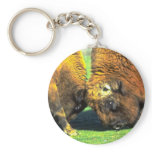 Sparring buffalo keychains