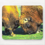 Sparring buffalo mousepads