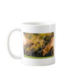 Sparring  Bull Elk mugs