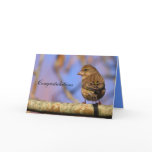 Sparrow cards