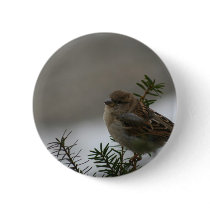 Sparrow Christmas Pinback Button