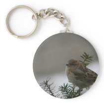 Sparrow Christmas Key Chains