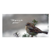 Sparrow, His eye is on the Sparrow!